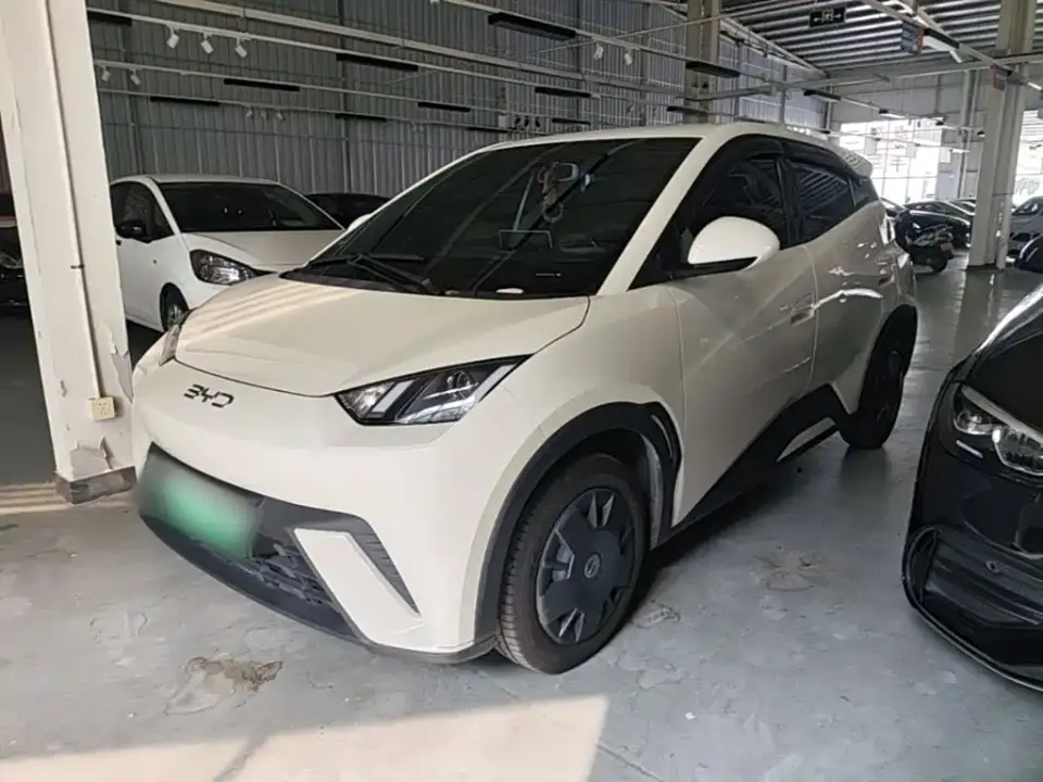 BYD Seagull Glory Edition 305km Vitality Edition 2024