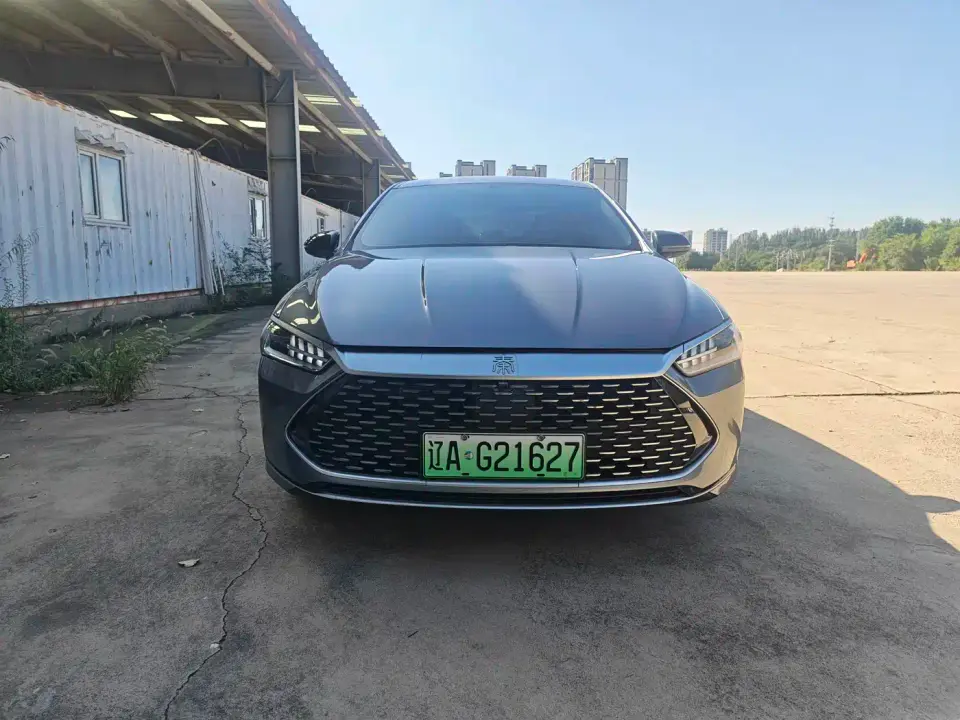 BYD Qin PLUS Glory Edition DM-i 55KM Surpass 2024