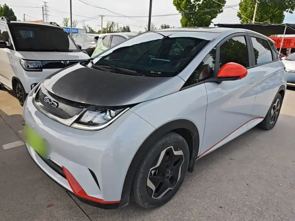 BYD Dolphin Model 405km Fashion Edition 2022