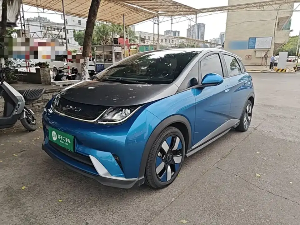 BYD Dolphin 401km Knight Edition 2022