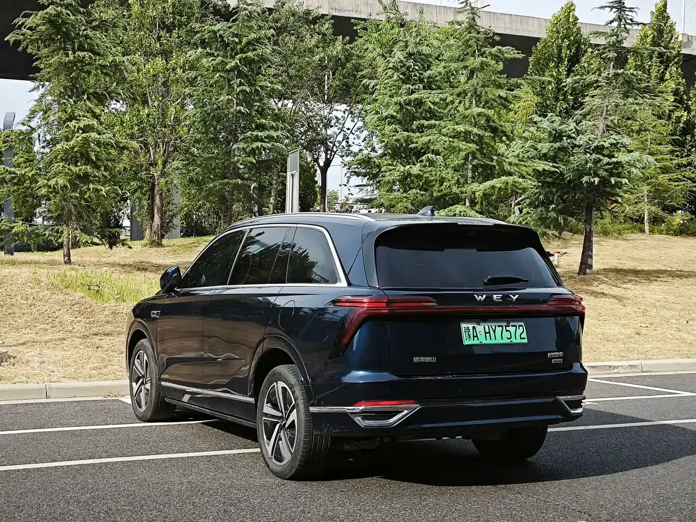Wey Lanshan AWD Max 2025 — фото 7