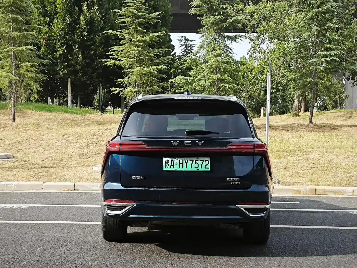 Wey Lanshan AWD Max 2025 — фото 8