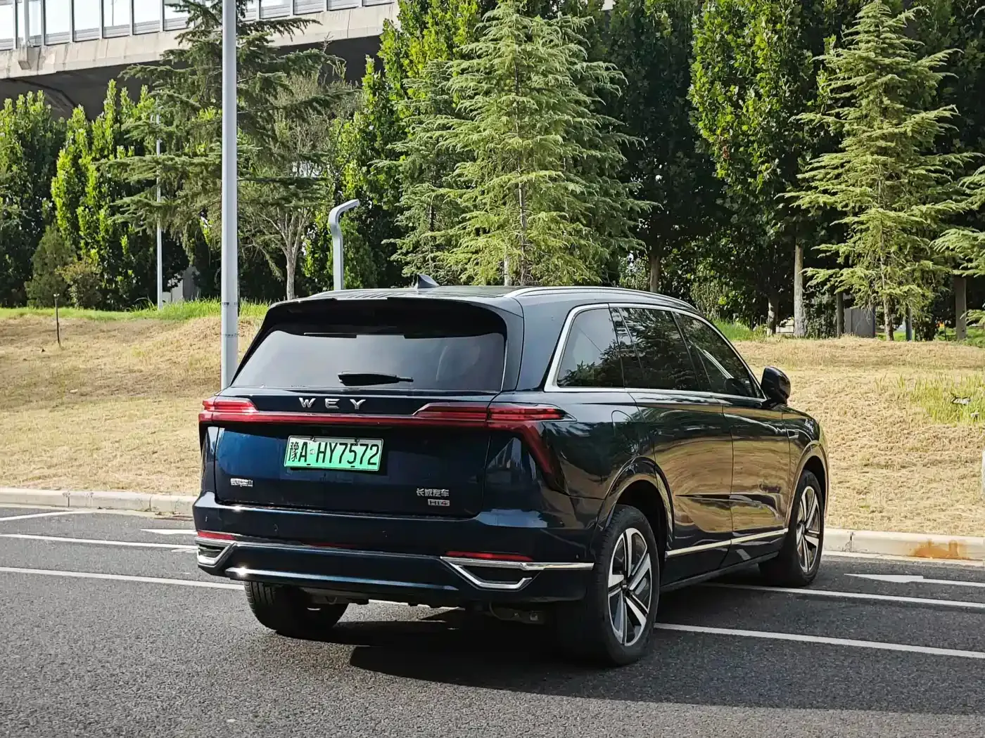 Wey Lanshan AWD Max 2025 — фото 9