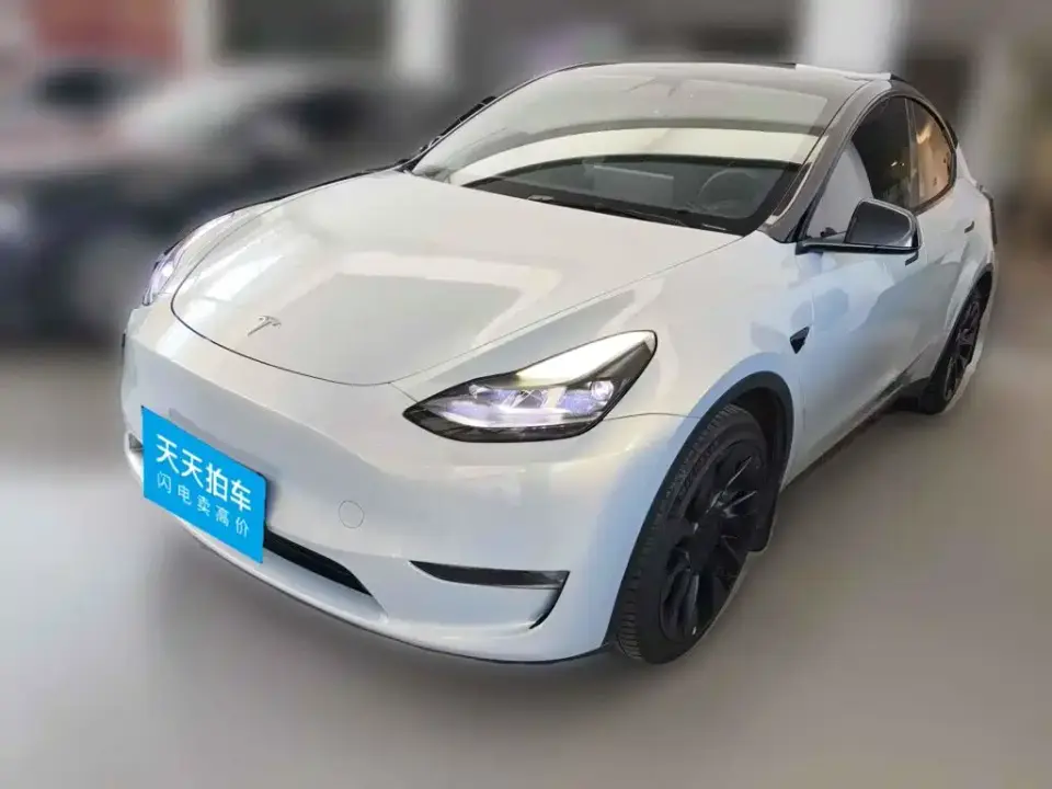 Tesla Model Y Standard Range Rear-Wheel Drive 2021