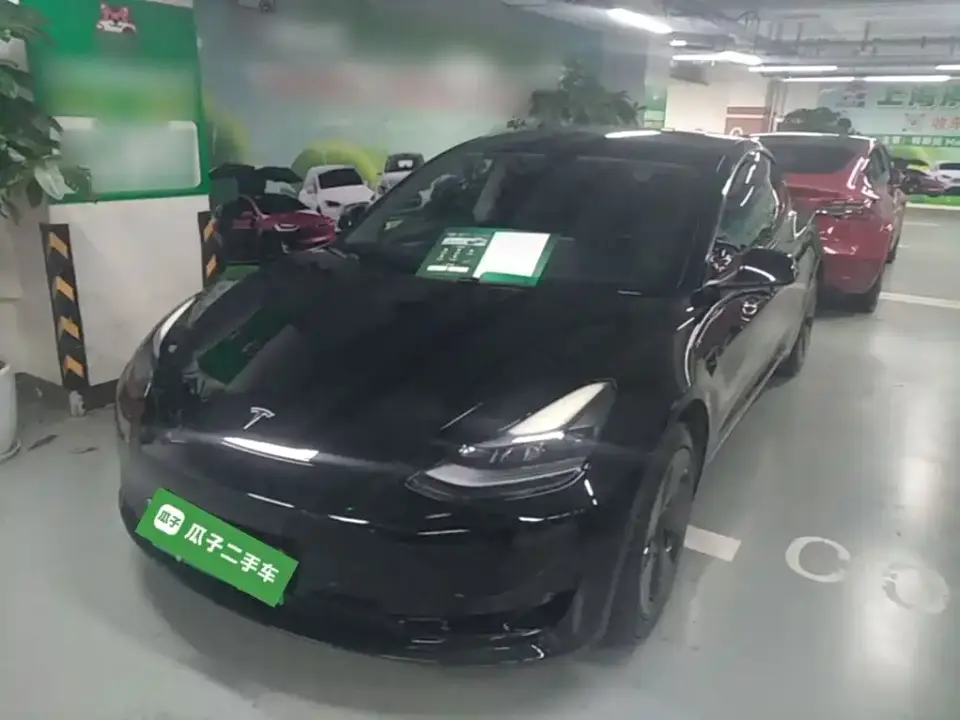 Tesla Model 3 Model Rear-Wheel Drive Version 2022