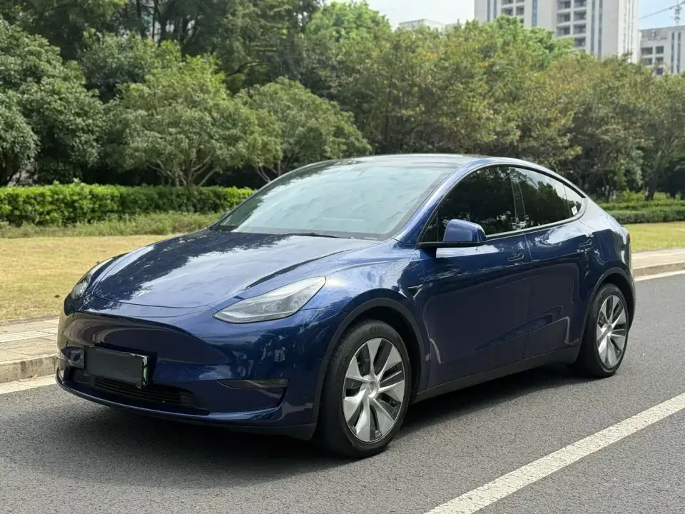 Tesla Model Y Standard Range Rear-Wheel Drive 2021