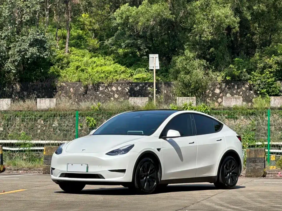 Tesla Model Y Rear-Wheel Drive Version 2024