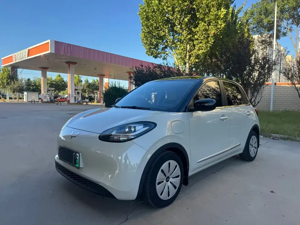 Wuling Motors Wuling Bingo 333km Quick Enjoy Version 2023