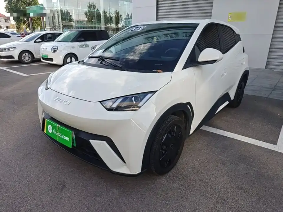 BYD Seagull Vitality Edition 2024