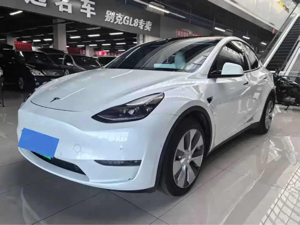 Tesla Model Y Model Long Range AWD 2021