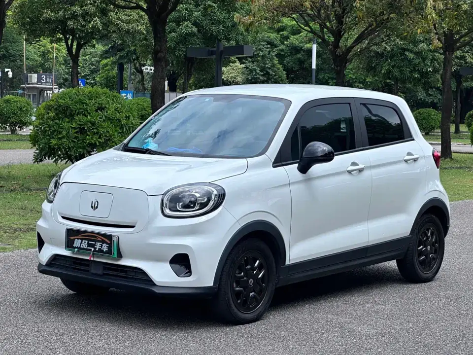 Leapmotor T03 310 Sharing Edition 2023