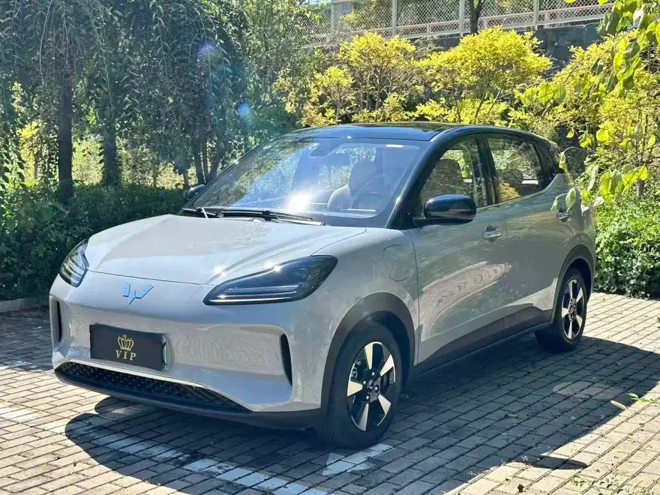 Wuling Motors Wuling Binguo PLUS 401km Flagship 4-Seater 2026