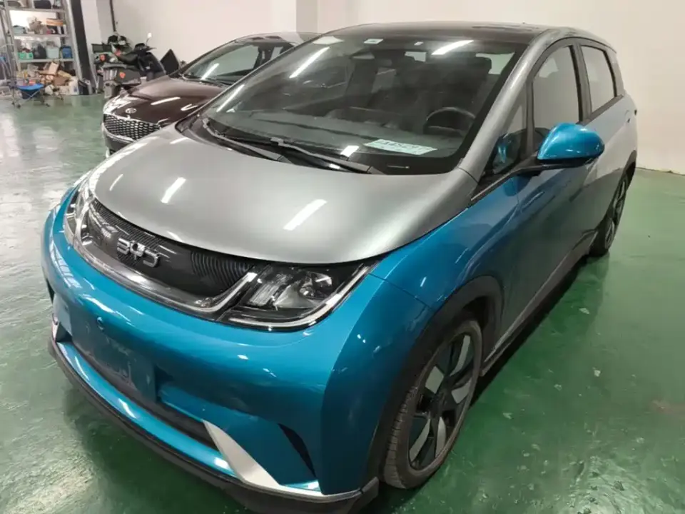 BYD Dolphin 401km Knight Edition 2022