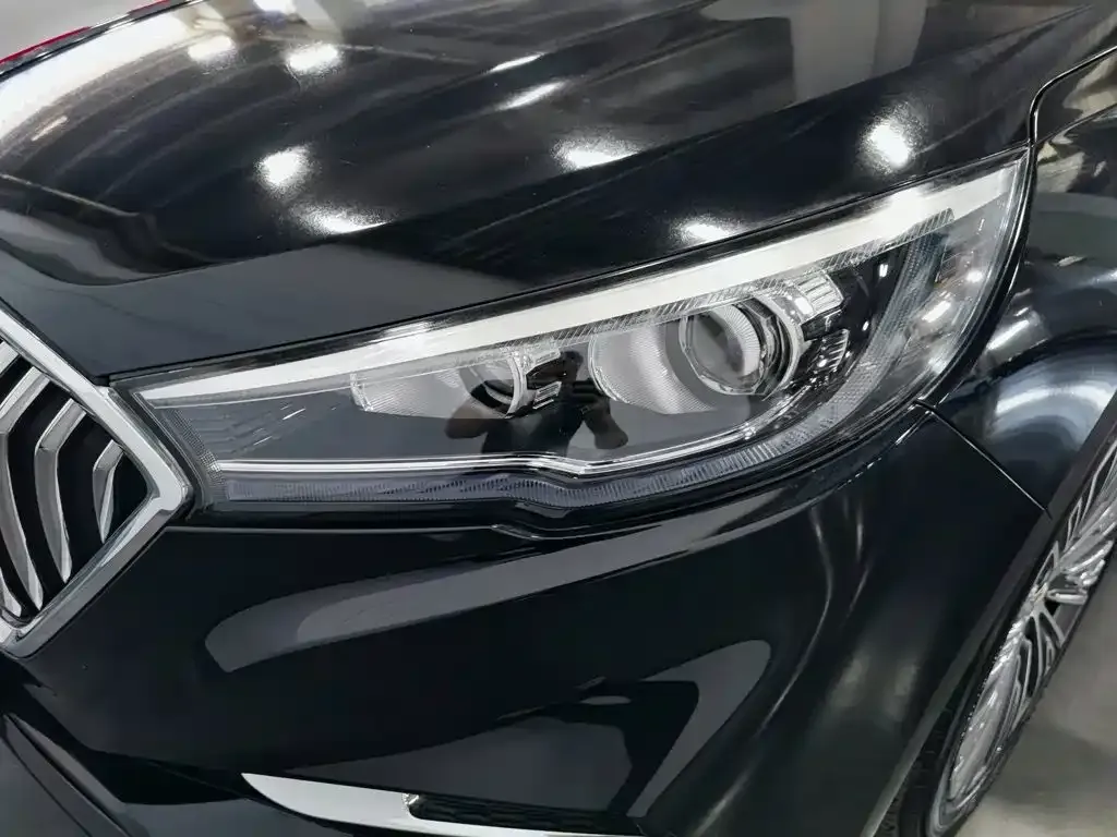 Hongqi H5 Classic Facelift 1.5T DCT Flag Rhythm Edition 2022 — фото 7