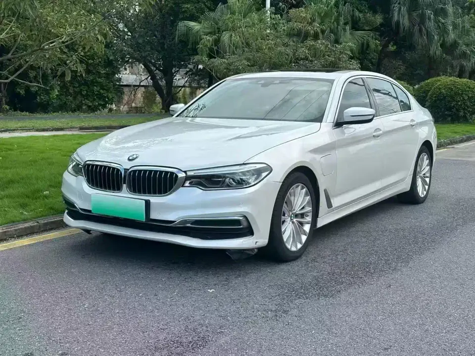 BMW 5 Series New Energy Facelift 530Le Pioneer Edition 2020