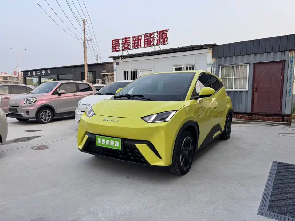 BYD Seagull Flying Edition 2023