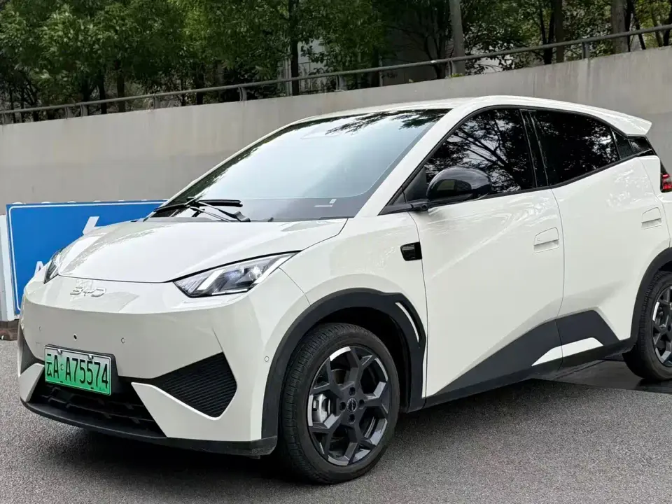 BYD Seagull Smart Drive Edition 305km Freedom Version 2025