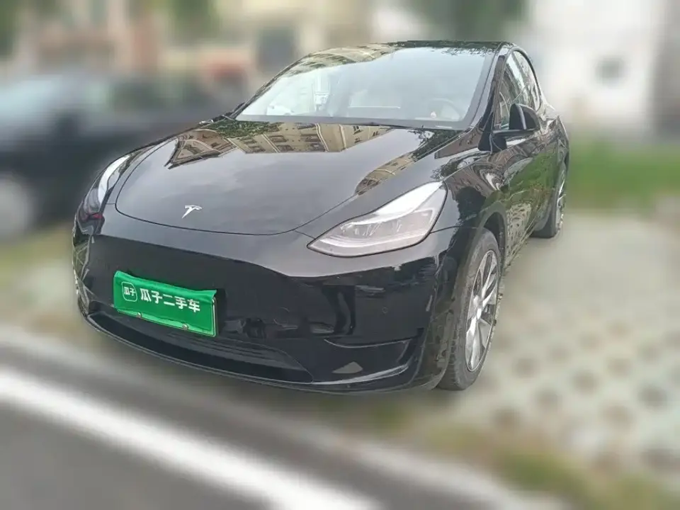 Tesla Model Y Rear-Wheel Drive Version 2022