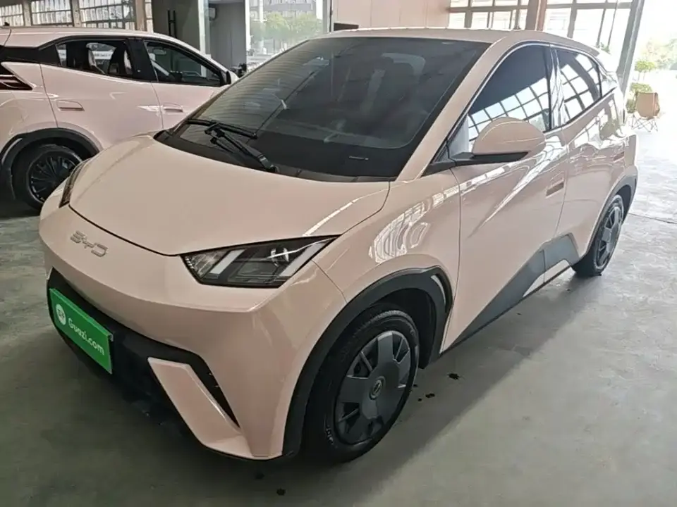 BYD Seagull Glory Edition 305km Vitality Edition 2024