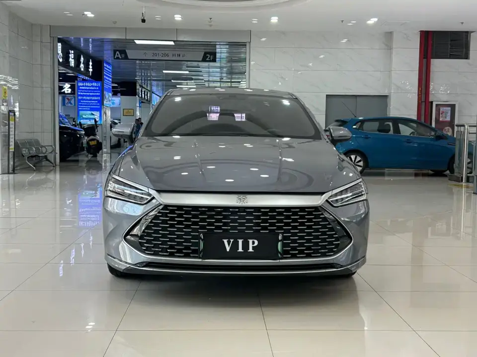 BYD Qin PLUS DM-i 55KM Flagship 2021