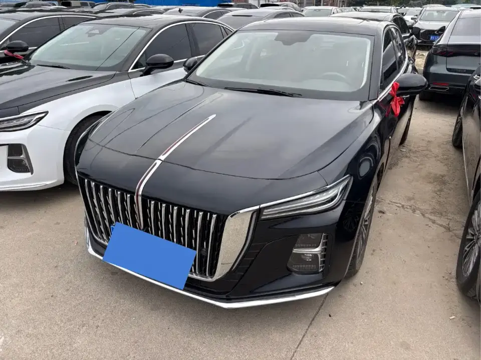 Hongqi H5 1.5T DCT Flag Rhythm 500,000 Units Memorial Edition 2025