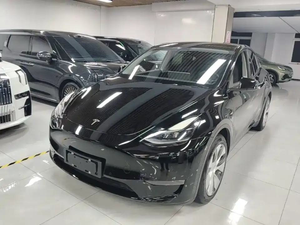 Tesla Model Y Long Range All-Wheel Drive 3D7 2021