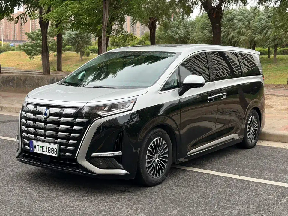 Denza D9 DM-i 980 AWD Flagship 2024