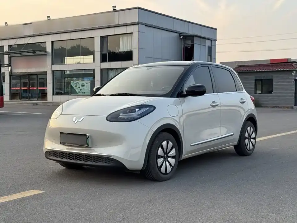 Wuling Motors Wuling Bingo 333km Comfort Edition 2024