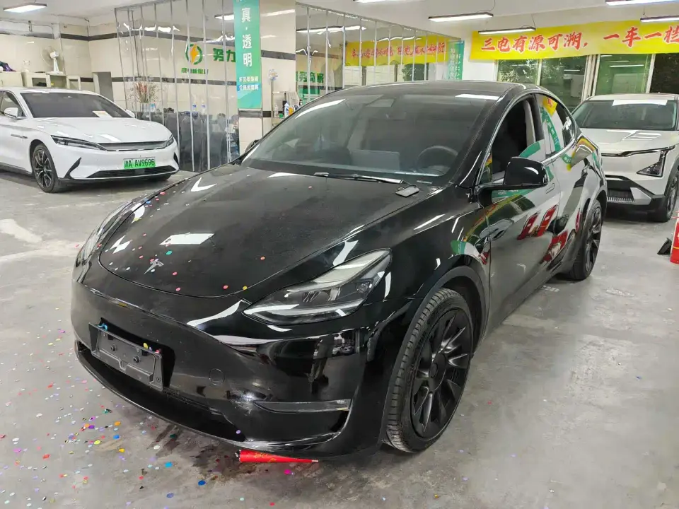 Tesla Model Y Standard Range Rear-Wheel Drive 2021