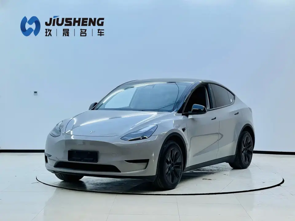 Tesla Model Y Rear-Wheel Drive Edition 2024