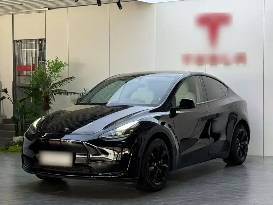 Tesla Model Y Rear-Wheel Drive Version 2022