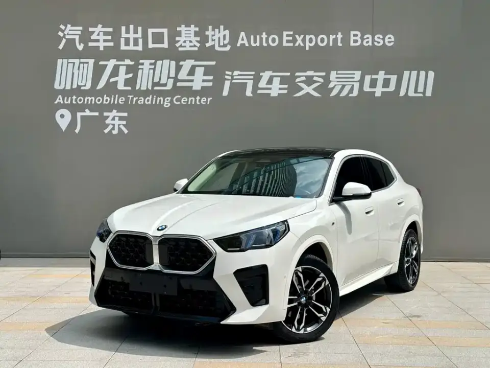 BMW X2 (Import) sDrive25i M Sport Package 2025