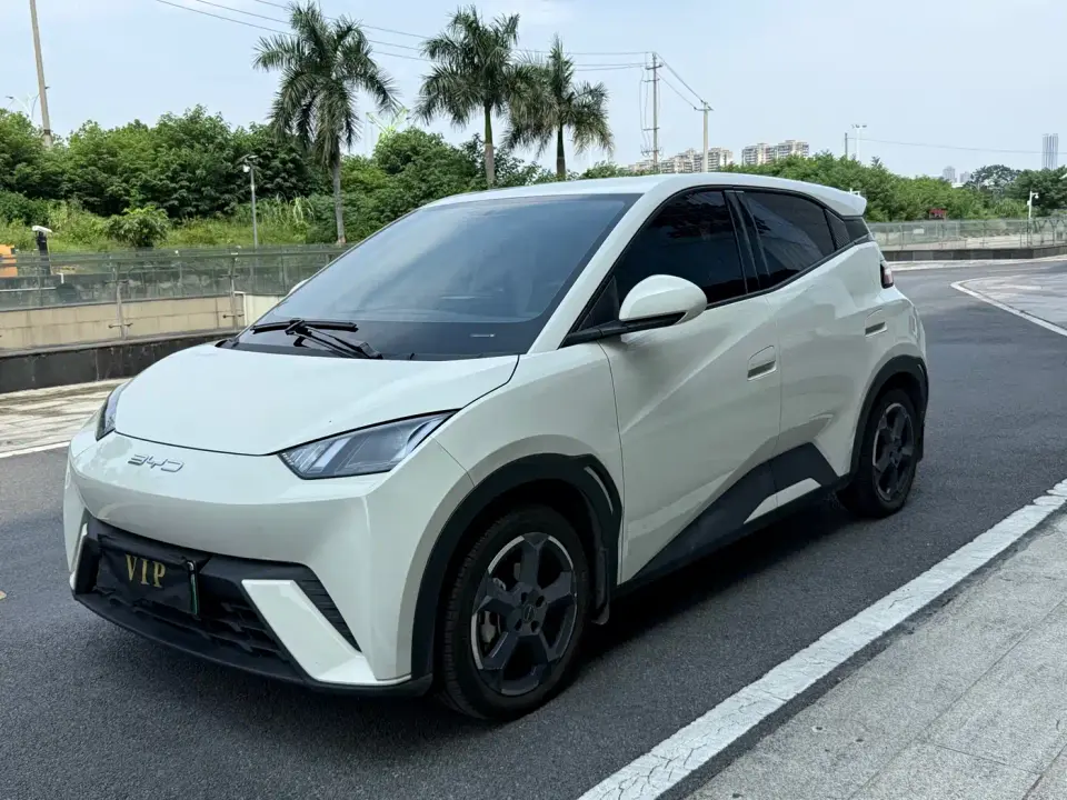 BYD Seagull Freedom Edition 2023
