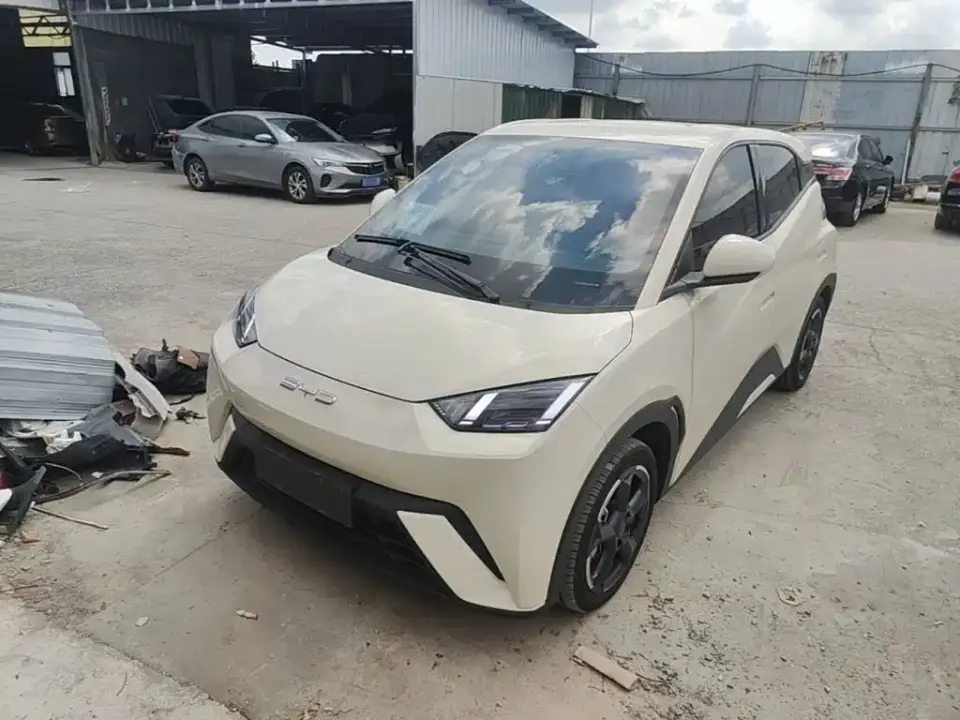 BYD Seagull Freedom Edition 2023