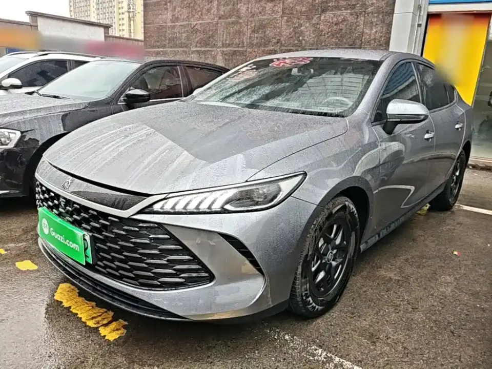 BYD Qin PLUS DM-i Smart Drive 55KM Leader 2025