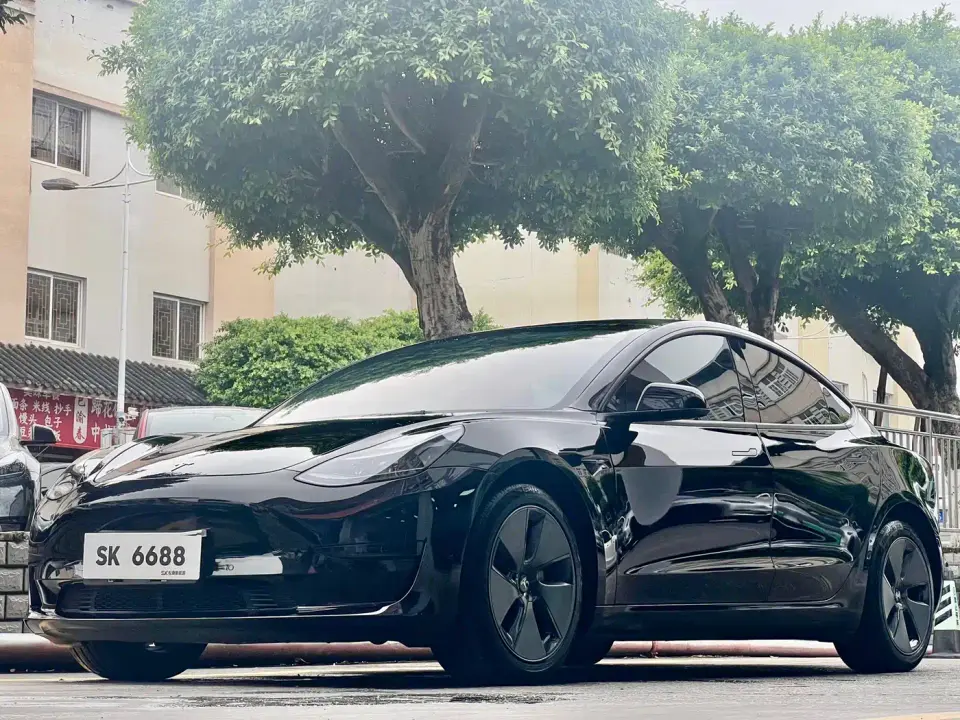 Tesla Model 3 Model Rear-Wheel Drive Version 2022