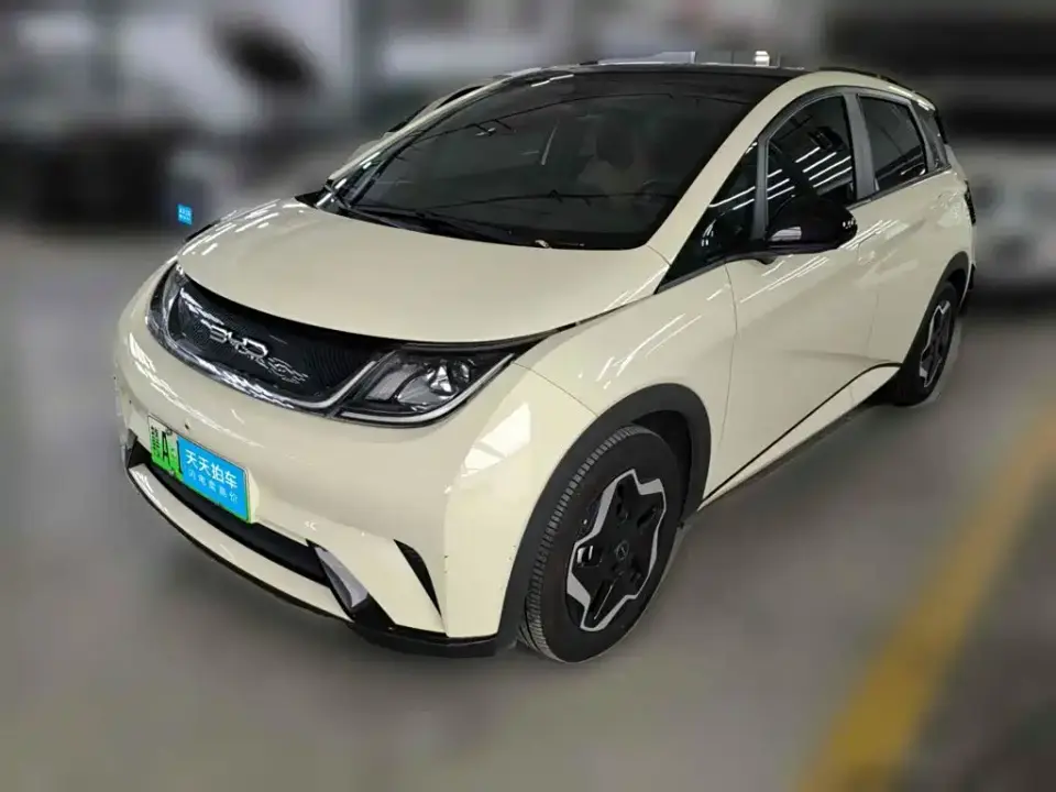 BYD Dolphin Model 405km Fashion Edition 2022