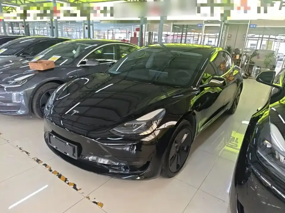 Tesla Model 3 Model Rear-Wheel Drive Version 2022