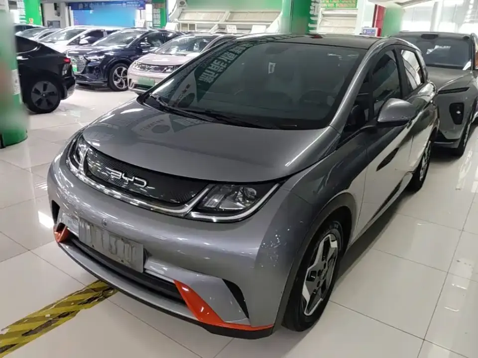 BYD Dolphin Model 405km Fashion Edition 2022