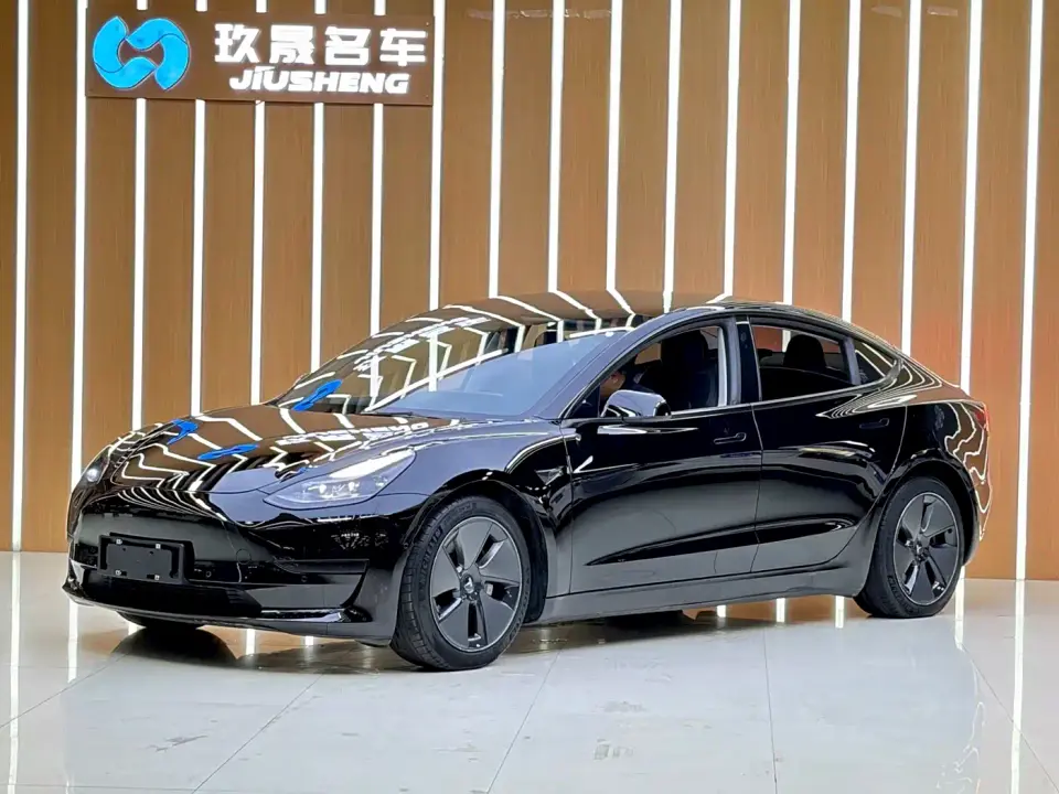 Tesla Model 3 Standard Range Rear-Wheel Drive Upgrade 3D6 2021