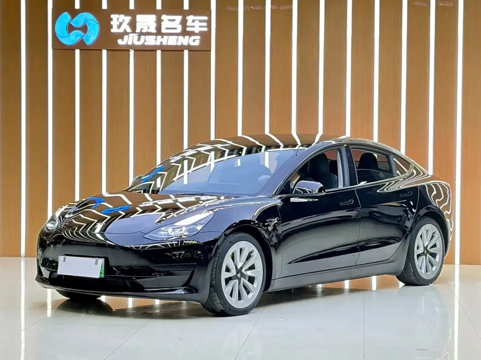 Tesla Model 3 Standard Range Rear-Wheel Drive Upgrade 3D6 2021