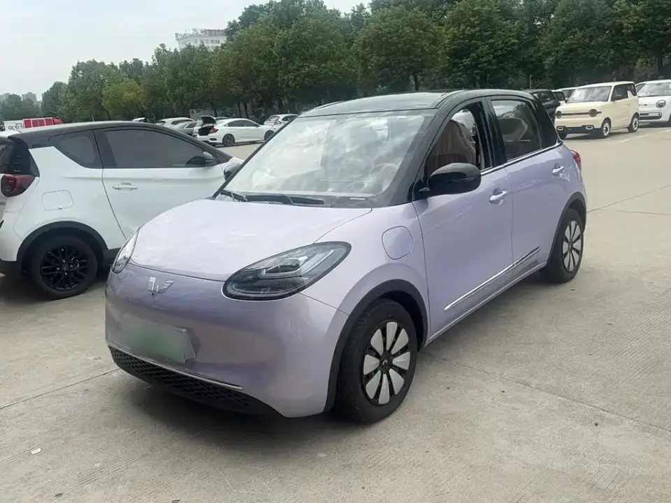 Wuling Motors Wuling Bingo Model 333km Joy Edition 2025