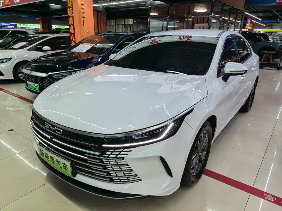 BYD Destroyer 05 Glory Edition DM-i 55KM Luxury 2024