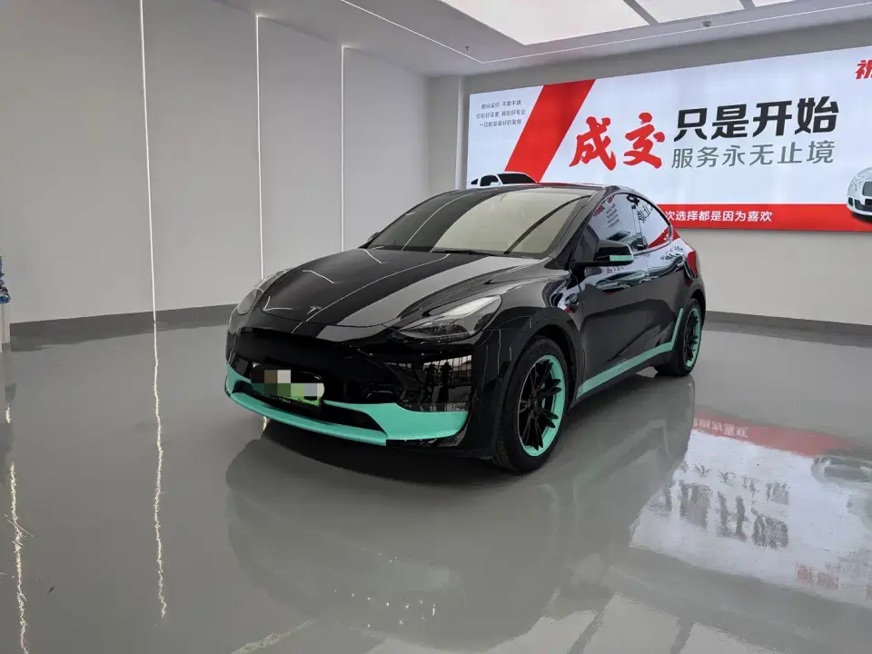 Tesla Model Y Standard Range Rear-Wheel Drive 2021