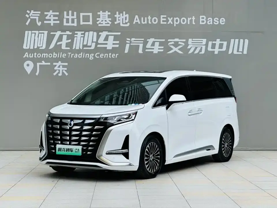 Denza D9 DM-i 970 Luxury 2024