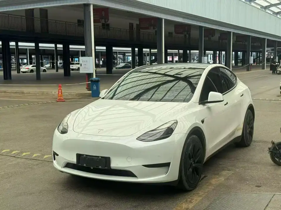 Tesla Model Y Rear-Wheel Drive Version 2022