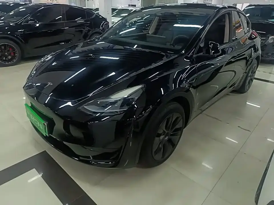 Tesla Model Y Rear-Wheel Drive Version 2024