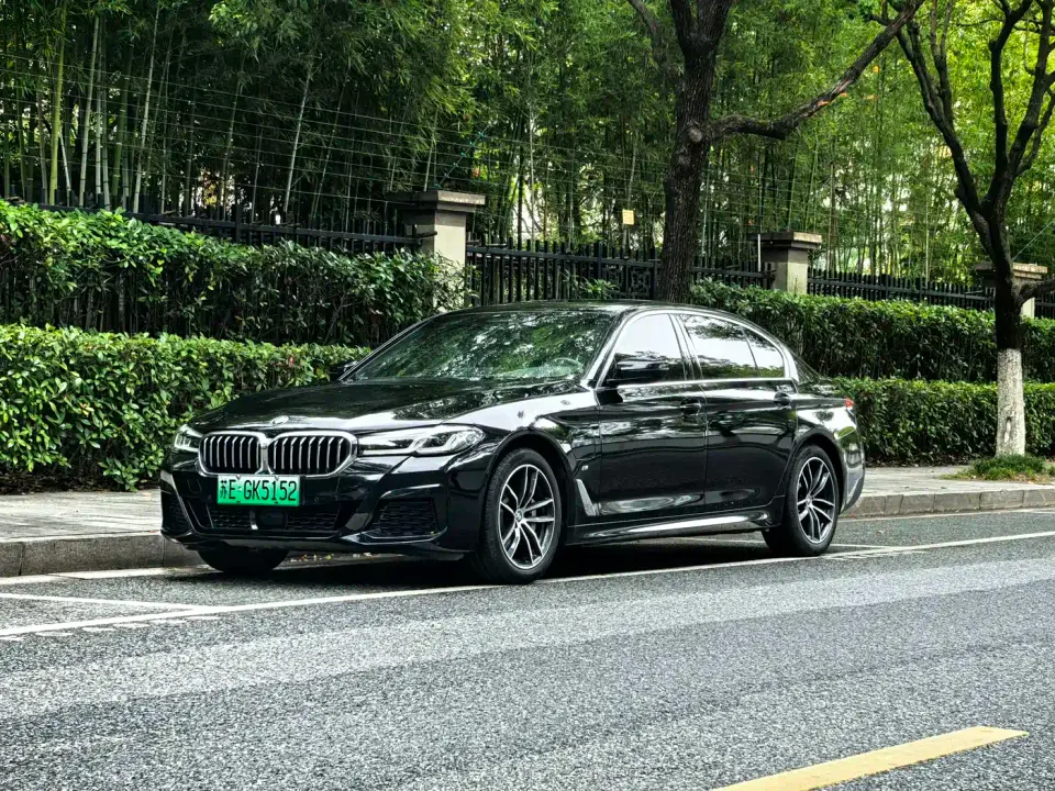 BMW 5 Series New Energy Facelift 535Le Pioneer M Sport Package 2021