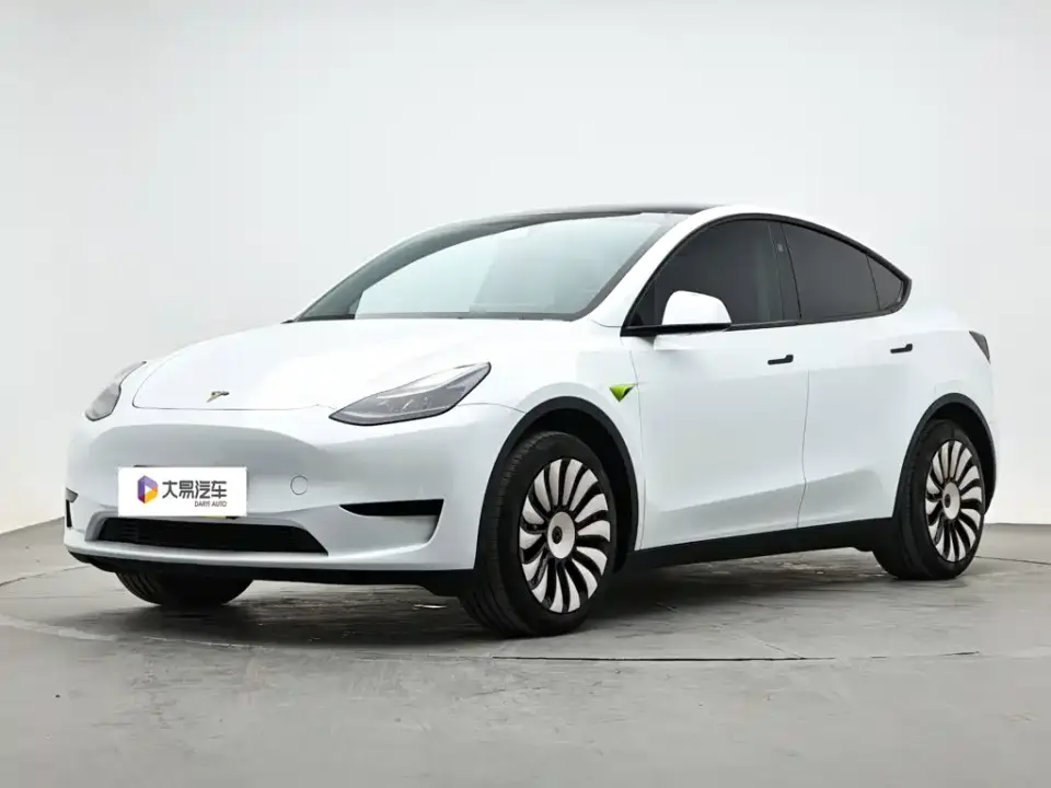 Tesla Model Y Rear-Wheel Drive Version 2024