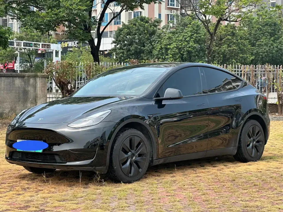 Tesla Model Y Rear-Wheel Drive Version 2024